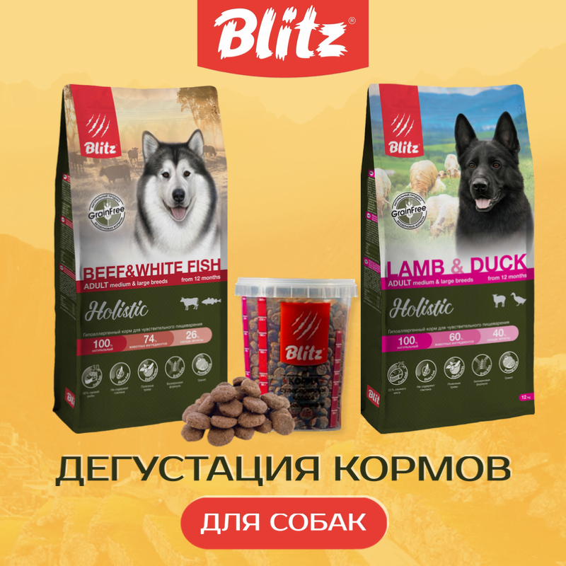 Дегустация Blitz Holistic для собак во всех магазинах!