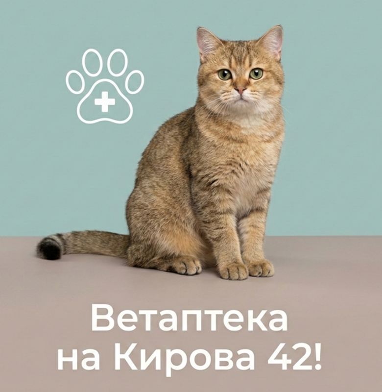 На Кирова 42 начала работу ветаптека!