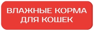 Блитц_влажные_кошки