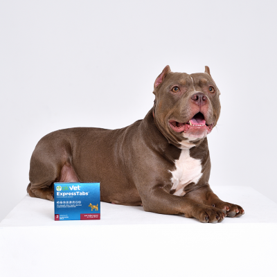 OkVet ExpressTabs таблетки от клещей, блох, вшей и гельминтов для собак от 15 кг до 30 кг, 2 шт