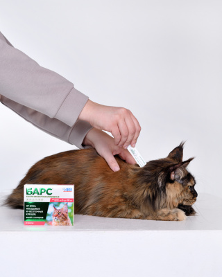 АВЗ Барс капли инсектоакарицидные для кошек от 5 кг до 10 кг, 0,5мл, 2 пип