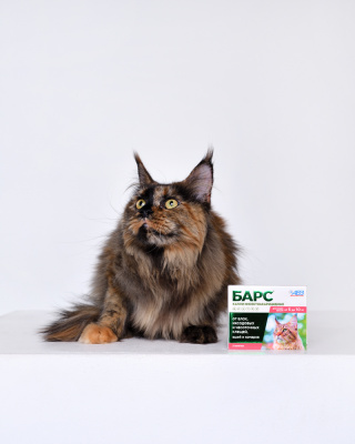 АВЗ Барс капли инсектоакарицидные для кошек от 5 кг до 10 кг, 0,5мл, 2 пип