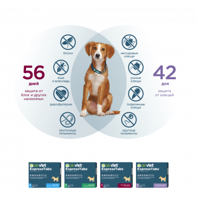 OkVet ExpressTabs таблетки от клещей, блох, вшей и гельминтов для собак от 15 кг до 30 кг, 2 шт