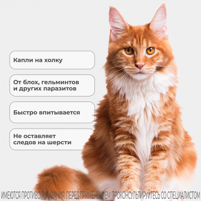 KRKA Селафорт для кошек 6% 1мл (60мг для кошек 7.6-10.0 кг)