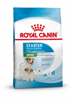 Royal Canin Mini Starter корм сухой для собак мелких пород, беременных, лактирующих и для щенков до 2-х месячного возраста
