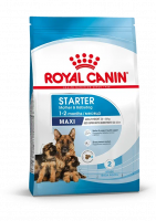 Royal Canin Maxi Starter корм сухой для собак крупных пород, беременных, лактирующих и для щенков до 2-х месячного возраста