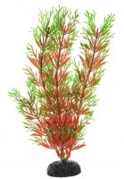 Barbus Пластиковое растение перестолистник красный