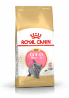 Royal Canin Kitten British Shorthair для британских короткошерстных котят