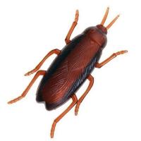 Rich Breed Интерактивная игрушка таракан, (ползает, вибрирует) 6х3х2