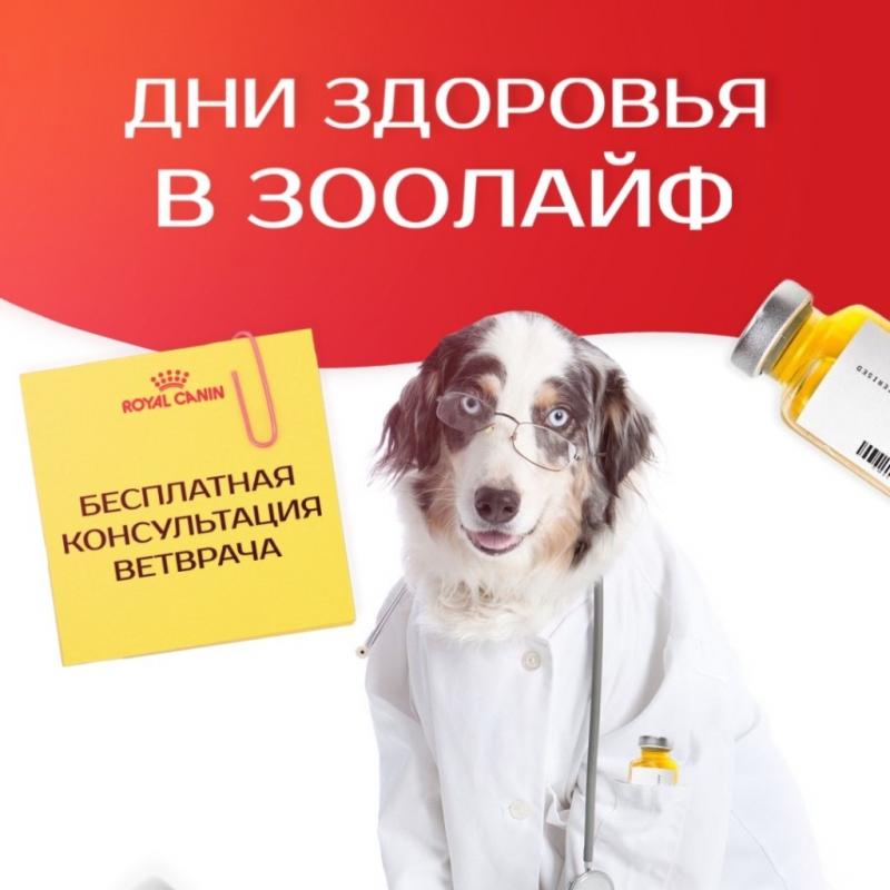 День здоровья от Royal Canin и ЗооЛайф