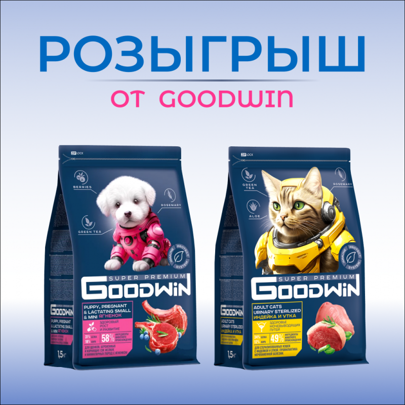 Розыгрыш подарков от Goodwin!