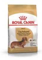 Royal Canin Dachshund 28 Adult