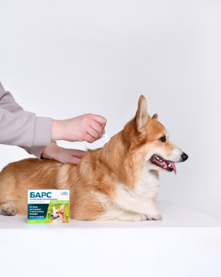 АВЗ Барс капли инсектоакарицидные для собак от 10 до 20 кг, 1,34мл, 1 пип