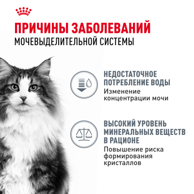 Royal Canin Urinary Care влажный корм для поддержания здоровья мочевыделительной системы, 85г