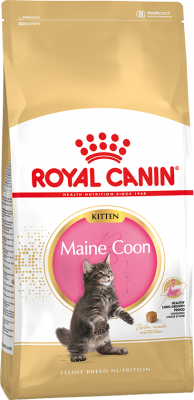 Royal Canin Kitten Maine Coon 36 для котят породы Мэйн Кун