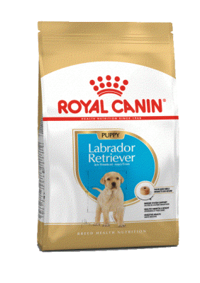 Royal Canin Labrador Retriever 33 Puppy для щенков породы Лабрадор Ретривер