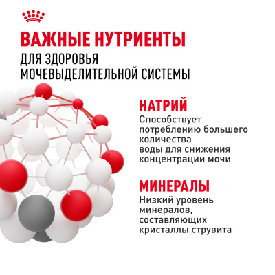 Royal Canin Urinary Care влажный корм для поддержания здоровья мочевыделительной системы, 85г
