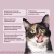 Милпразон Таблетки от гельминтов для кошек весом более 2 кг, 16мг, 2 таб