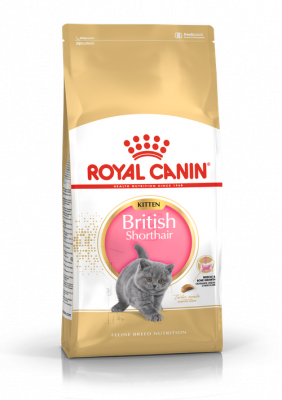 Royal Canin Kitten British Shorthair для британских короткошерстных котят