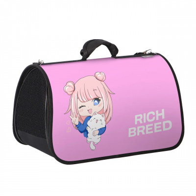 Rich Breed Сумка-переноска хард дизайн, размер L 46*27*28, Аниме-3